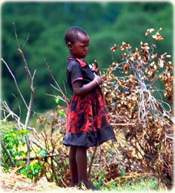 Tanzanian child - Africa