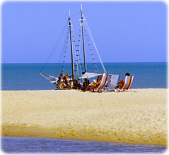 Beach Bahia Brazil