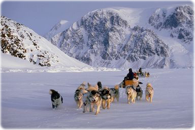 Ellesmere Island